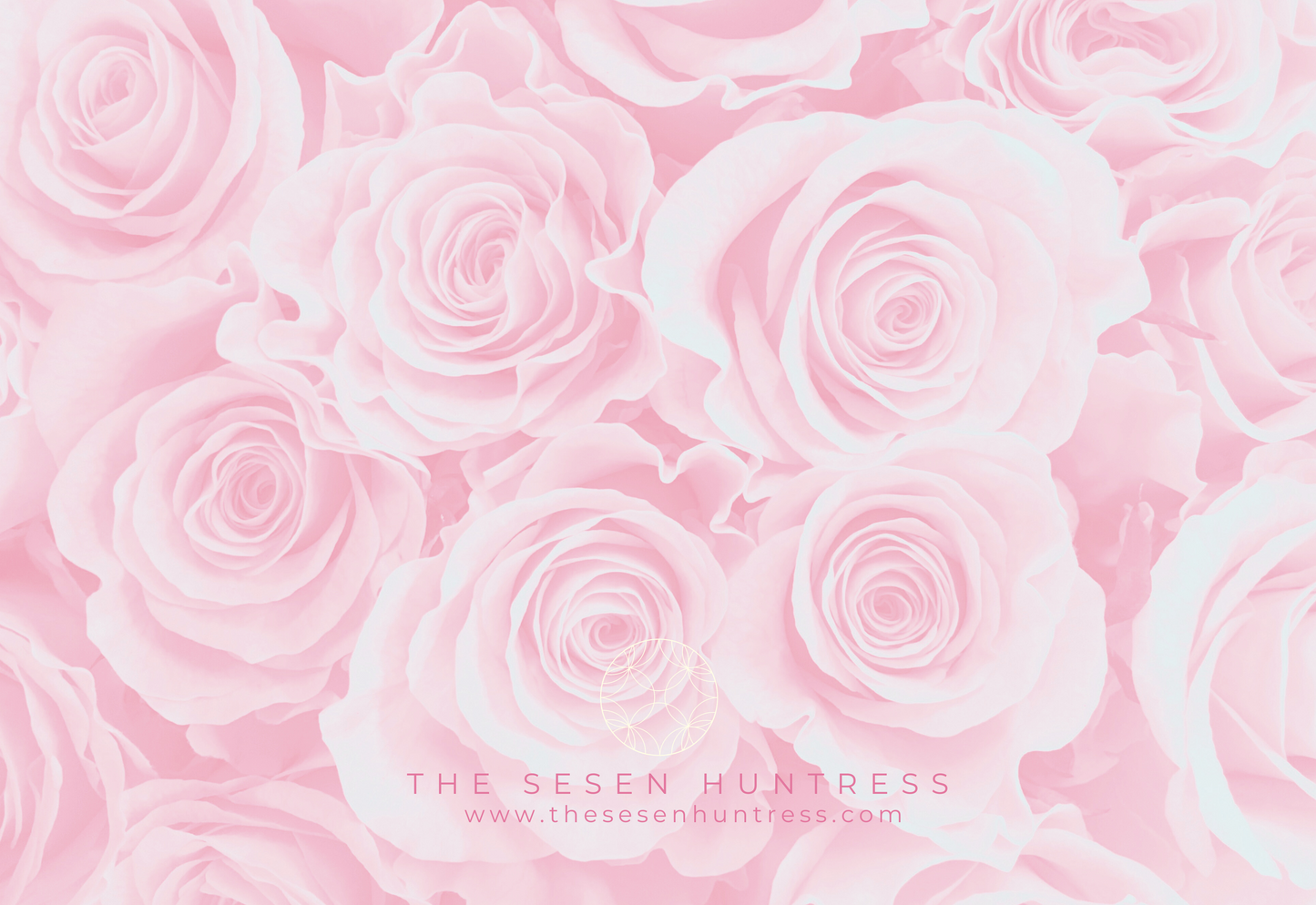 Pink Rose Letter set