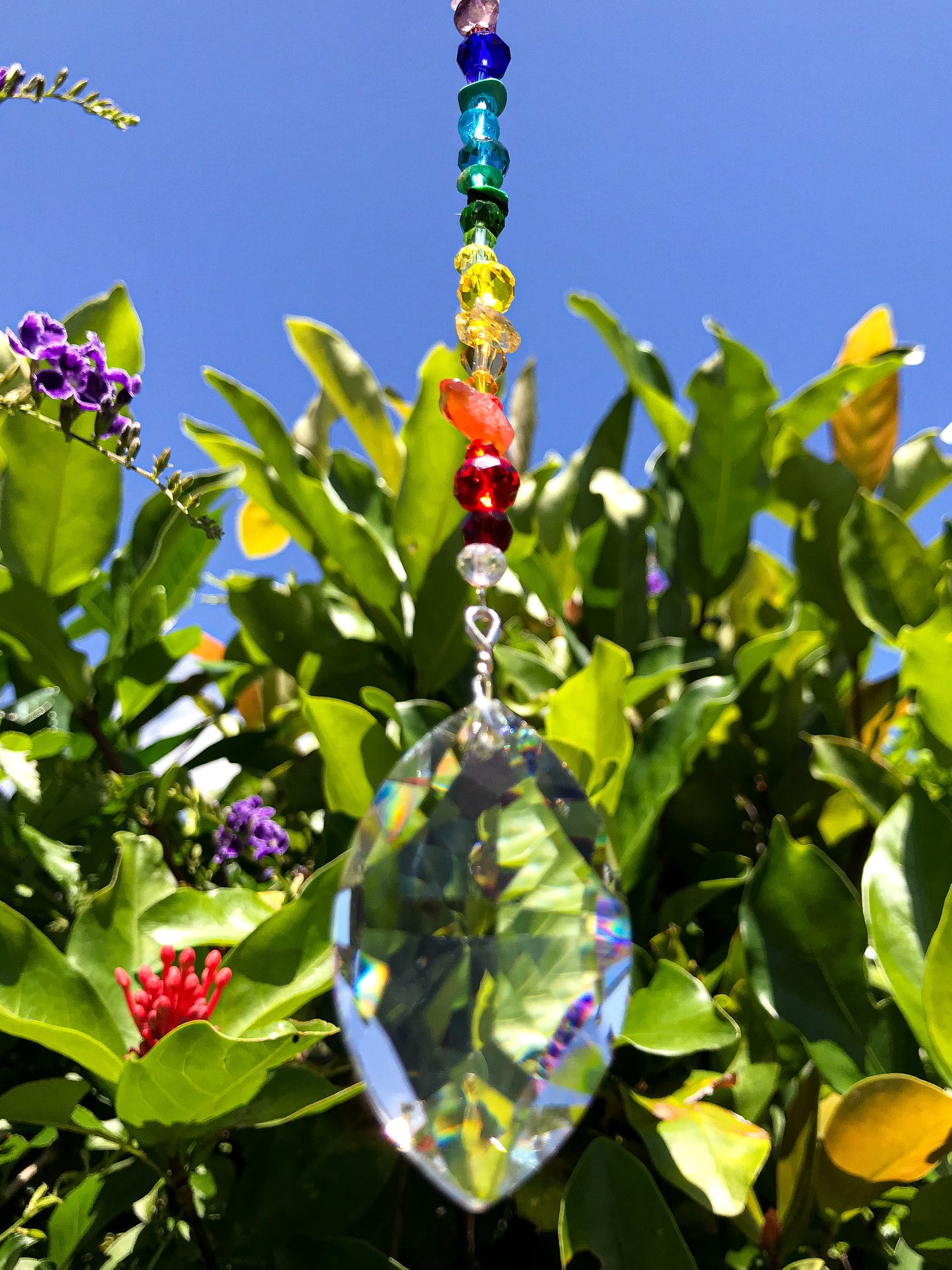 Rainbow Almond Sun catcher